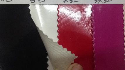 高品質鏡面皮革的多元應用 樂器保護套的理想選擇