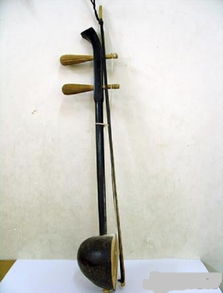 椰胡 擦奏弦鳴樂器