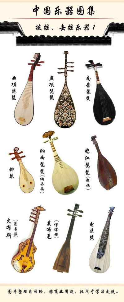 樂器 人類情感的共鳴與文明的交響